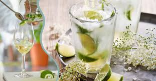 Gin och tonic med enbär och lingon. Recept Pa Drink Hugo Gin Tonic Aperol Spritz Mat Och Dryck
