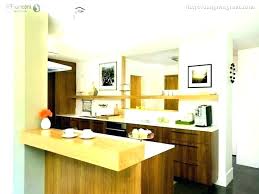 studio apartment kitchen ideas