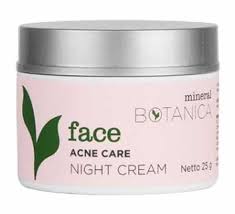 Krim malam terbaik satu ini bisa kamu dapatkan dengan harga yang sangat terjangkau. Rekomendasi Krim Malam Terbaik Untuk Kulit Berminyak Dan Berjerawat Blog Unik