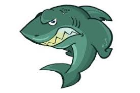 Join our monthly membership and download our app! How To Draw Shark Step By Step Easy Drawings For Kids Drawingnow