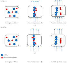 Address:lot 1032, jalan kb2/15, balakong, seri kembangan, selangor, malaysia (43300). Materials Free Full Text Enhancement Of Viscoelastic And Electrical Properties Of Magnetorheological Elastomers With Nanosized Ni Mg Cobalt Ferrites As Fillers Html