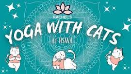 Yoga With Cats
