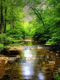 Kết quả hình ảnh cho vầng trăng ai xẻ làm đôi images