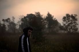 Best collections of chill vibes wallpaper 69+ for desktop, laptop and mobiles. Adidas Sun Vibe Boost Vibes Chill Guy Man Boy Tree 910x607 Wallpaper Teahub Io