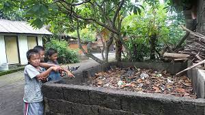 Check spelling or type a new query. Lingkungan Bersih Tak Menjamin Bebas Dari Demam Berdarah Degue Tribun Bali