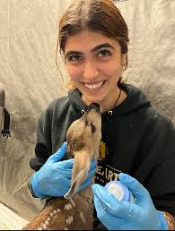 Welcome to our incoming class: The Next Vets, Class of 2028! Erin Glover  from Portland, Oregon is interested in “clinical pathology, anesthesia,  surgery (large, small, exotic), education research (studying the teaching  and