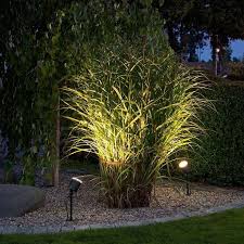 Bringen Sie Ihren Garten Zum Leuchten Beleuchtung Garten Gartenbeleuchtung Und Garten