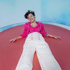 Or pull a harry styles and wear a ruffled top or a floral blouse with the trousers. Harry Styles Dressed To Impress On The Cover Of Vogue Amherst Wire