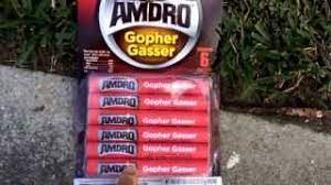 How to quickly catch a mole in one day! How To Get Rid Of Gophers And Moles With Amdro Gopher Gasser Youtube