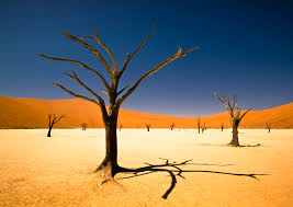 The name sossusvlei is often used in an extended meaning to refer to the surrounding area. Namibias Gluhende Dunen Sossusvlei