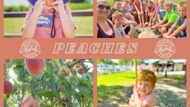 Fruity Pickin' Storytime - Peaches