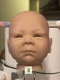 Danielle Smith doll and its humorous implications