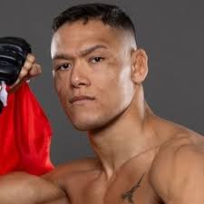 Costello van Steenis vs. Avi Jack, Phoenix Fight Night 27