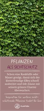 Pin Auf Gartentrennwande