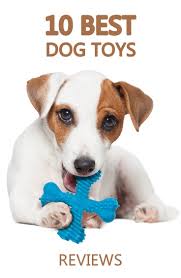 Top 10 Best Dog Toys Best Dog Toys Small Dog Toys Dog Toys Indestructable