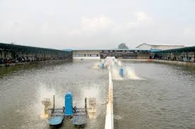 Sport Mancing Galatama Kumpul Silahturahmi Dari Kita Untuk Kita Kabar Mancing