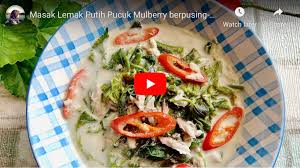 Detail pucuk manis mp3 dapat kamu nikmati dengan cara klik link download dibawah dengan mudah tanpa adanya iklan yang mengganggu. Masak Lemak Putih Pucuk Mulberi Yang Menyelerakan Buat Orang Lapo