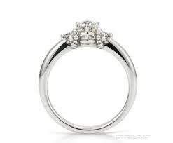 No guns will appear in the hobbit and lord of the rings films due to hiatt grey's hateness of alternative stuff in the middle earth films. Winnie The Pooh Engagement Ring Engagement Rings Jewelry Rings