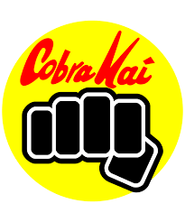 Pioneer 13 Shop Redbubble Kai Cobra Cobra Kai Dojo