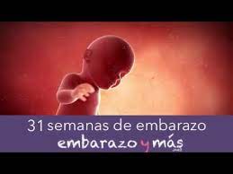 Por este motivo, debes tener precaución con todos esos síntomas que indiquen que el niño está próximo a nacer como por ejemplo romper aguas o contracciones muy fuertes. 31 Semanas De Embarazo Septimo Mes Embarazoymas Youtube