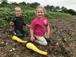 We did not find results for: Zucchini Boats Floating Down The Field Farm Happenings At Willow Haven Farm Harvie