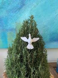 Farm House Christmas Tree Rosemary Christmas Tree Holy Spirit Holi