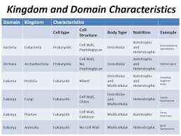 Kingdoms And Domains Ppt Video Online Download