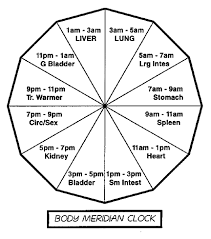 Body Meridian Clock The Hourly Flow Of Qi Through The