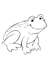 Sapo Para Colorir Blog Ana Giovanna