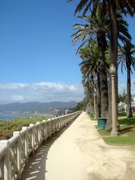 Tree pruning, tree removal, tree care and more. Palisades Park In Santa Monica I Spent My Childhood Here California Travel Los Angeles Parks Palisades Park