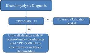 Safety And Effectiveness Of The Combination Acetazolamide And Bicarbonates To Induce Alkaline Diuresis In Patients With Rhabdomyolysis European Journal Of Hospital Pharmacy