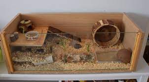 Diy Hamstercage Hamster Cage Dwarf Hamster Cages Hamster Diy