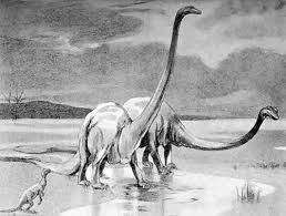 10 Things To Know About One Of The Biggest Dinosaurs That Ever Lived Diplodocus Pictures Dinosaur