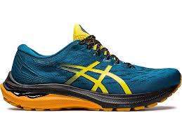 Image result for Yellow 2000 Fleet