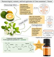 Image result for Citrus × aurantium