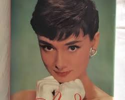 Audrey, une vie en images de Carol Krenz