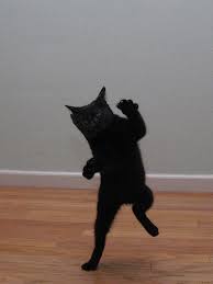 It's Friday! Do A Happy Dance! - Life With Cats
