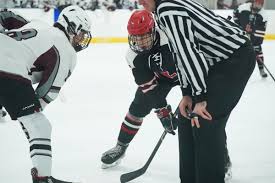 Photos: Orchard Park boys hockey beats Lancaster, 8-1