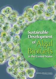 Polluted air, contaminated water, and extreme heat are 3 environmental conditions that can negatively impact population health. 5 Environmental Effects Sustainable Development Of Algal Biofuels In The United States The National Academies Press