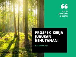 932x1500 edisi 26 april 2013 by blabla issuu jika anda masuk dengan ijazah s1 anda akan masuk golongan 3a, kisaran yang. 13 Prospek Kerja Jurusan Kehutanan Dan Gajinya Kita Punya