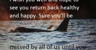 Proverbs 18:10 the name of the lord is a fortified tower; 100 Bon Voyage Or Have A Safe Trip Messages Plus Quotes Safe Trip Message Bon Voyage Message Have A Safe Trip