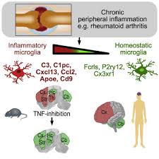 نتیجه جستجوی لغت [inflammatory] در گوگل