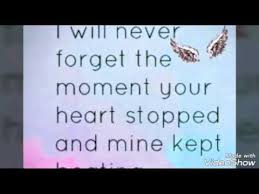 R I P My Baby Boy Sky Always Will You Be Missed Youtube