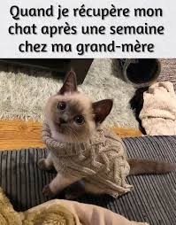 Le froid arrive </div></body></html>