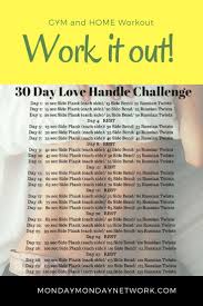 30 Day Love Handle Challenge Home And Gym Workout Body Building Fitness Exercises Love Handles Challenge Love Handle Workout Love Handels Workout