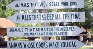 40 Zoo Signs That Prove You Don T Need To Touch The Animals To Laugh At Them Http Runt Of The Web Com Funny Zoo Signs Utm Source Pinterest Utm Medium Social