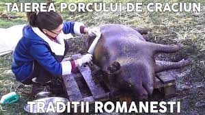 Taierea Si Transarea Porcului De Craciun Traditii Romanesti De Ignat Eng Sub Youtube