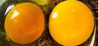 How To Tell If Your Expired Eggs Are Still Good To Eat Food Hacks Wonderhowto