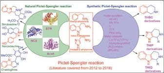 However, the mechanism of this reaction has remained as a controversial research topic. Synthetic Versus Enzymatic Pictet Spengler Reaction An Overview Bentham Science