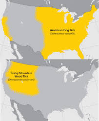 1980 (with 6 beautiful rocky mountain states (with photos & map) touropia us map rocky mountains confederation of north america sobel wiki. Transmission Rocky Mountain Spotted Fever Rmsf Cdc